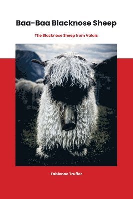 Baa-Baa Blacknose Sheep 1