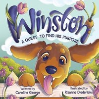 bokomslag Winston A Quest To Find His Purpose