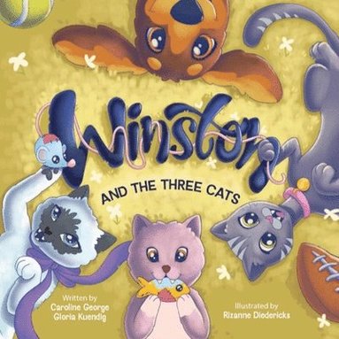 bokomslag Winston And The Three Cats