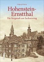 bokomslag Hohenstein-Ernstthal