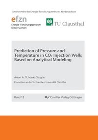 bokomslag Prediction of Pressure and Temperature in CO2 Injection Wells Based on Analytical Modeling