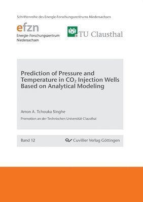 Arron A Tchouka Singhe - Prediction of Pressure and Temperature in CO2 Injection Wells Based on Analytical Modeling, Häftad