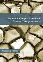 Preparation of Polymer Nano-Foams. Templates, Challenges and Kinetics 1