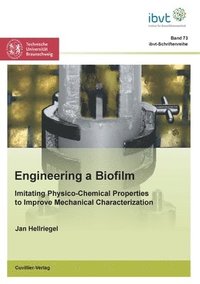 bokomslag Engineering a Biofilm