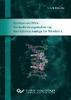 Synthese und DNA-Wechselwirkungsstudien von modifizierten Analoga des Triostins A 1