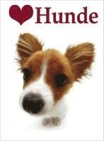 bokomslag Ich liebe Hunde