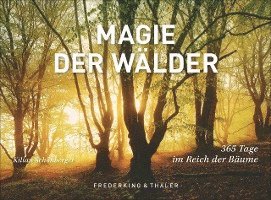 Tischaufsteller Magie der Wälder 1