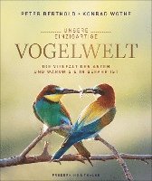 bokomslag Unsere einzigartige Vogelwelt