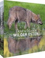 bokomslag Deutschlands wilder Osten