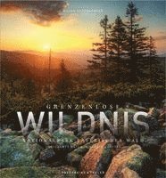 Grenzenlose Wildnis Nationalpark Bayerischer Wald