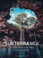 Subterranea 1