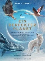 bokomslag Ein perfekter Planet