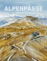 bokomslag Alpenpässe