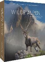 bokomslag Wilde Alpen