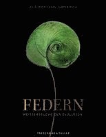 Federn 1