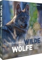 Bildband Wölfe - Begegnungen in freier Wildbahn: Deutschlands wilde Wölfe kehren zurück - Ein einmaliges Erlebnis von Wildnis und Natur mit 190 außergewöhnlichen Fotos