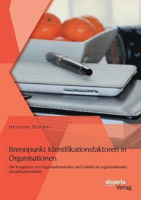 bokomslag Brennpunkt Identifikationsfaktoren in Organisationen