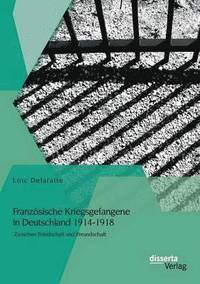 bokomslag Franzsische Kriegsgefangene in Deutschland 1914-1918