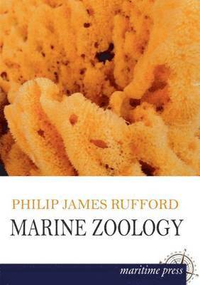 Marine Zoology 1