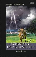 bokomslag Schwaben-Donnerwetter