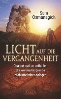 bokomslag Licht auf die Vergangenheit