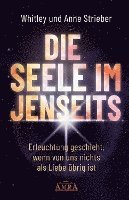 bokomslag DIE SEELE IM JENSEITS