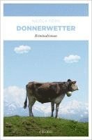 Donnerwetter 1