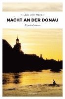 Nacht an der Donau 1