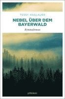 bokomslag Nebel über dem Bayerwald