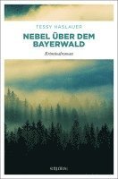 Nebel über dem Bayerwald 1