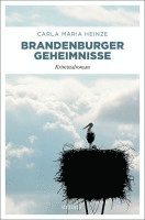 bokomslag Brandenburger Geheimnisse