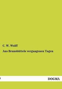 bokomslag Aus Brunsbüttels vergangenen Tagen