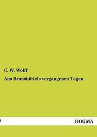 bokomslag Aus Brunsbuttels vergangenen Tagen