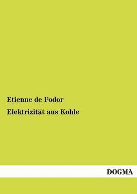 bokomslag Elektrizität aus Kohle