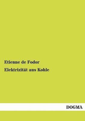 bokomslag Elektrizitt aus Kohle