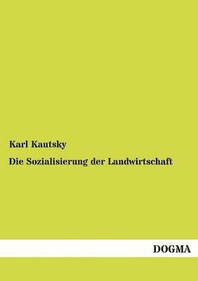 bokomslag Sozialisierung der Landwirtschaft