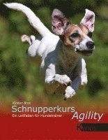 bokomslag Schnupperkurs Agility