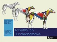 bokomslag Arbeitsbuch Hundeanatomie
