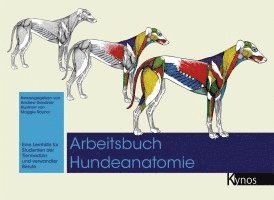 Andrew Gardiner - Arbeitsbuch Hundeanatomie, Inbunden