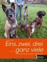 bokomslag Eins, zwei, drei ... ganz viele