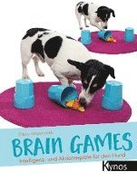 Brain Games 1