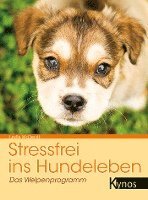 bokomslag Stressfrei ins Hundeleben