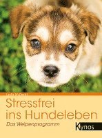 Stressfrei ins Hundeleben 1