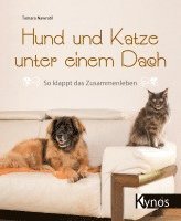 bokomslag Hund und Katze unter einem Dach