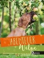 bokomslag Abenteuer Welpe