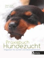 bokomslag Praxisbuch Hundezucht