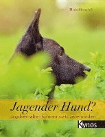 bokomslag Jagender Hund?