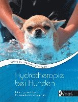 bokomslag Hydrotherapie bei Hunden