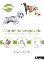 bokomslag Atlas der Hundeanatomie