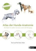 bokomslag Atlas der Hundeanatomie